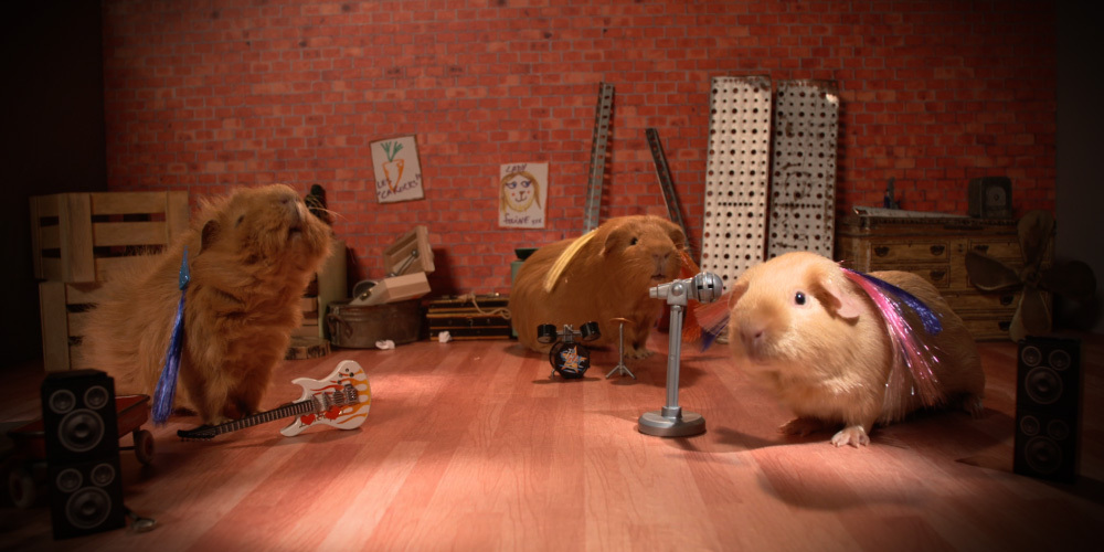 Cochon Dingue Trio Orange