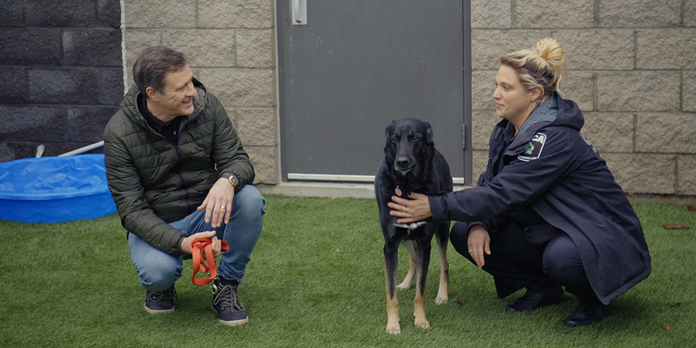 Refuge animal Trio Orange