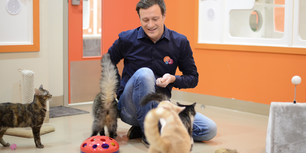 Animal Shelter Trio Orange